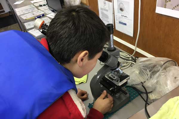 A child wearing a blue life jacket peers into a microscope.
