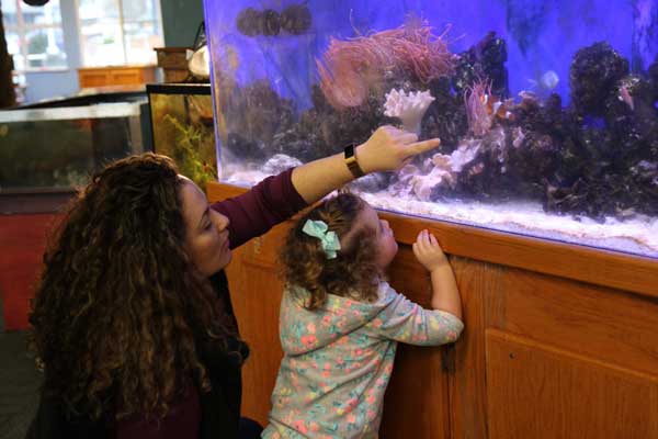 A child alongside her mother, peers into a deep tanks at the SEA Discovery Center