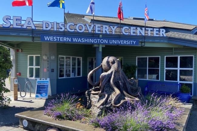 A sunny day highlighting the entrance of the Sea Discovery Center, an octopus sculpture is outside the front entrance.