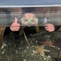 A person gives thumbs up behind a clear aquarium wall with starfish and rocks visible inside.