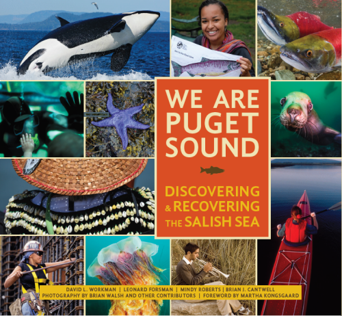 Colorful book cover with a collage puget sound imagery including a lion's mane jellyfish, a kayaker on calm seas, orca whale breaching, a purple starfish, a seal face and close ups of a pair of spawning sockeye salmon.