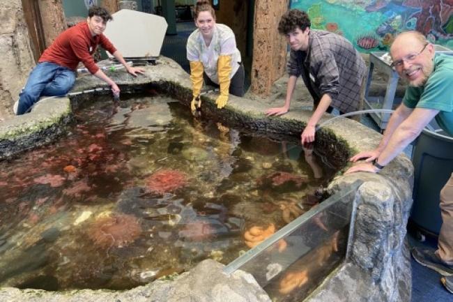 4 volunteers clean an inside water tank at the Sea Discovery Center.